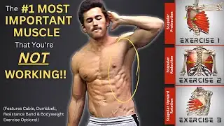 The #1 Most Overlooked Muscle: Key to a Shredded Core, Back & Healthy Shoulders! (Serratus Anterior)
