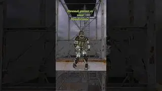 Мем сталкер. 