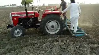 Massey 241