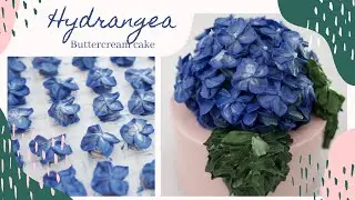 Upgraded version of Hydrangea cake, Buttercream Hydrangea cake tutorial, how to Color and Arrange