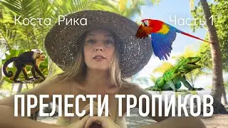 Коста Рика. Экзотика на повседнев. Часть 1