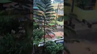 বৃষ্টি মাথায় নিয়েই বাড়ি থেকে বেরতে হলো#shorts #minivlog #plzz subscribe my channel