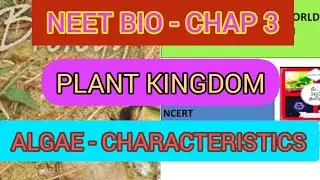 ALGAE | SALIENT FEATURES | MODULE 4 | NEET BIOLOGY | CHAP 3 | PLANT KINGDOM