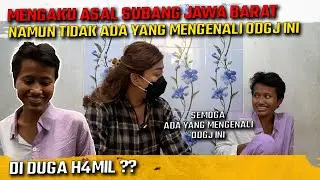 THIS ODGJ IS SUSPECTIVE OF BEING A HIM AND A MOM? ARE THERE STILL PEOPLE TAKING ADVANTAGE OF ODGJ?