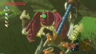 Breath of the Wild Livestream - Linkle Mod - BotW - farming Kilton medals