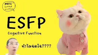 ESFP : Cognitive Function ฉบับเข้าใจง่าย : ilovetoday วันนี้ดีที่สุด MBTI® Certified Practitioner