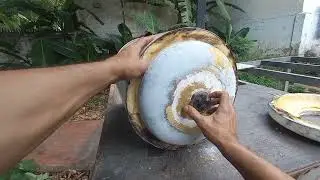 Alguna vez haz visto como esta fabricado un calentador de agua por dentro?
