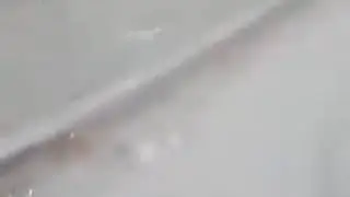 18 мая 2020 г.