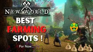 New World Farming Locations And Gold Guide!