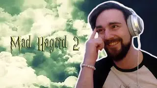 MAD HAGRID 2 [YTP] (Reaction)