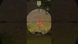 lion game play