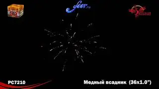 РС7210: Медный всадник NEW