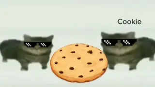 This is a cookie