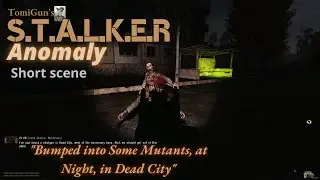 Bumped into Some Mutants, at Night, in Dead City - S.T.A.L.K.E.R Anomaly 