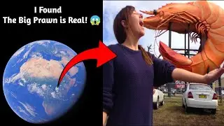 found big Prawn 🦐😱 is real! on google map and google earth 🌎 #earth #map #youtubevideo #earthday