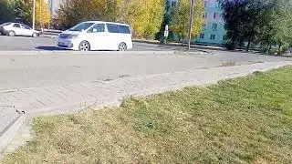 Naught America. Utah street. Denver hentai