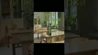 Ошибка в конце у классухи*