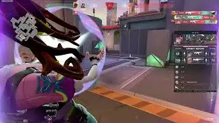 The BEST SKIN in VALORANT!