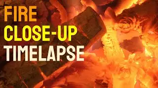 The Beauty of a Burning Fire: Timelapse of Logs in a Wood Stove