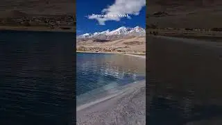 Don't return from Pangong lake until you visited Merak.       #shorts #ytshorts #ladakh #pangonglake