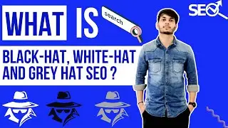 What is White Hat SEO, Gray Hat SEO & Black Hat SEO? -Techniques of SEO (Learn SEO for Free ⭐) 2022