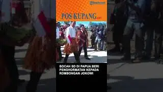 Viral, Bocah SD di Papua beri Penghormatan kepada rombongan Presiden Jokowi