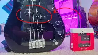 Squier Affinity PJ bass pickup upgrade | Fender Yosemite pickups