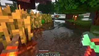 Raw Minecraft Survival Gameplay [Shaders] [73]