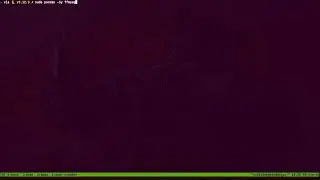yt-dlp - Video Downloader on linux