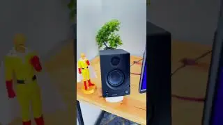 Neden Referans Monitörü
