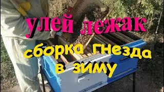 Улей лежак  Сборка гнезда в зиму  Контроль кормов