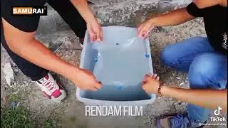 Cara karbon celup