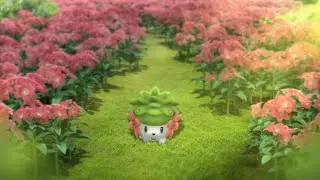 Welcome to the Season of GO!
