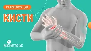 🤏​  Реабилитация кисти