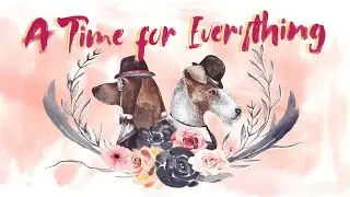 Iris - A Time for Everything「Official Music Video」【Rotaeno】