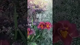 От лета осталась одна треть,  цените каждый миг🙏 !     1 августа! 