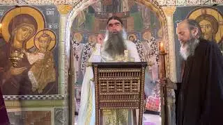2023 06 11 Недеља Свих Светих - о.  Рафаило