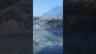 Зеркальный мир