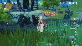 Genshin Impact (Why Hit Rocks?)