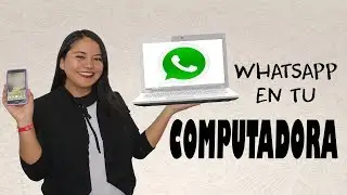 How to connect your WhatsApp from your cell phone to your computer?