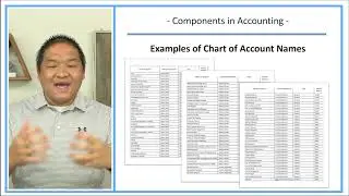 Learn Debits and Credits Series - Lesson 2 - Understanding Components vs Accounts