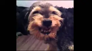 просто жесть!!!!
