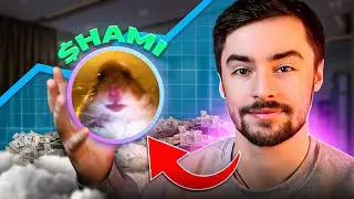 Running a Multi-Million Dollar Solana Meme Coin Project ($HAMI Update 11)