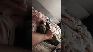 #успех #рекомендации