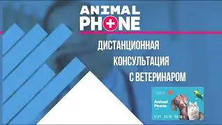 Animal Phone