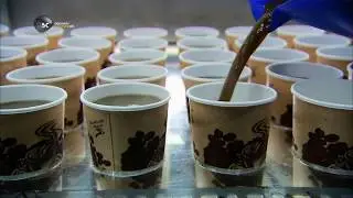 Бумажные стаканчики. Передача Как это работает (How It's Made) ? Сезон 9 HD 🔩⚙