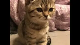 Соня Олкона делает зарядку.