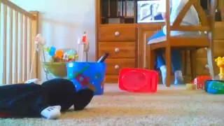 2 Flaggle Claggle Ways