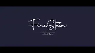 FINE STEIN RESTAURANT, KREMS | B-ROLL