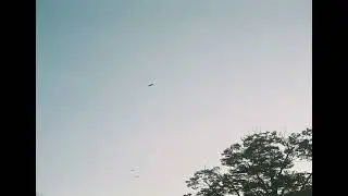水玉